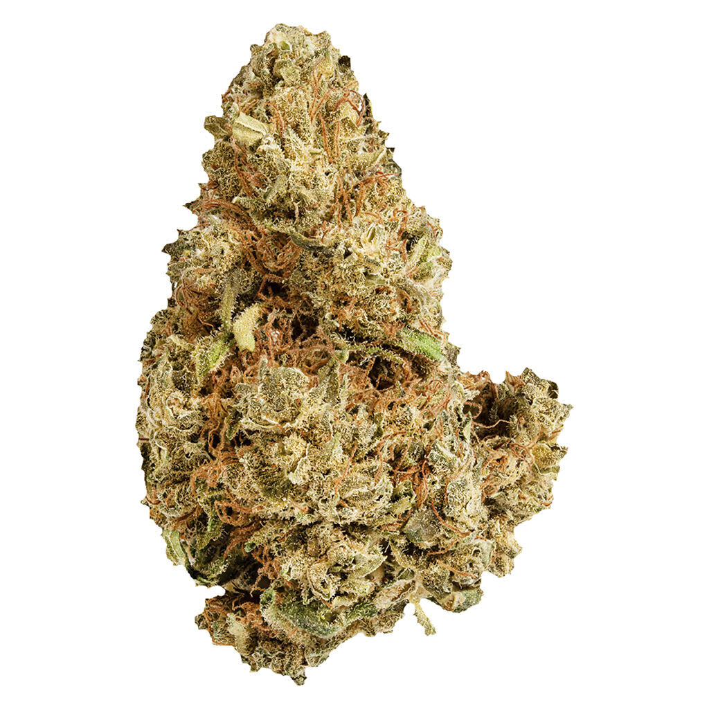 Versus - Purple Afghani 28g