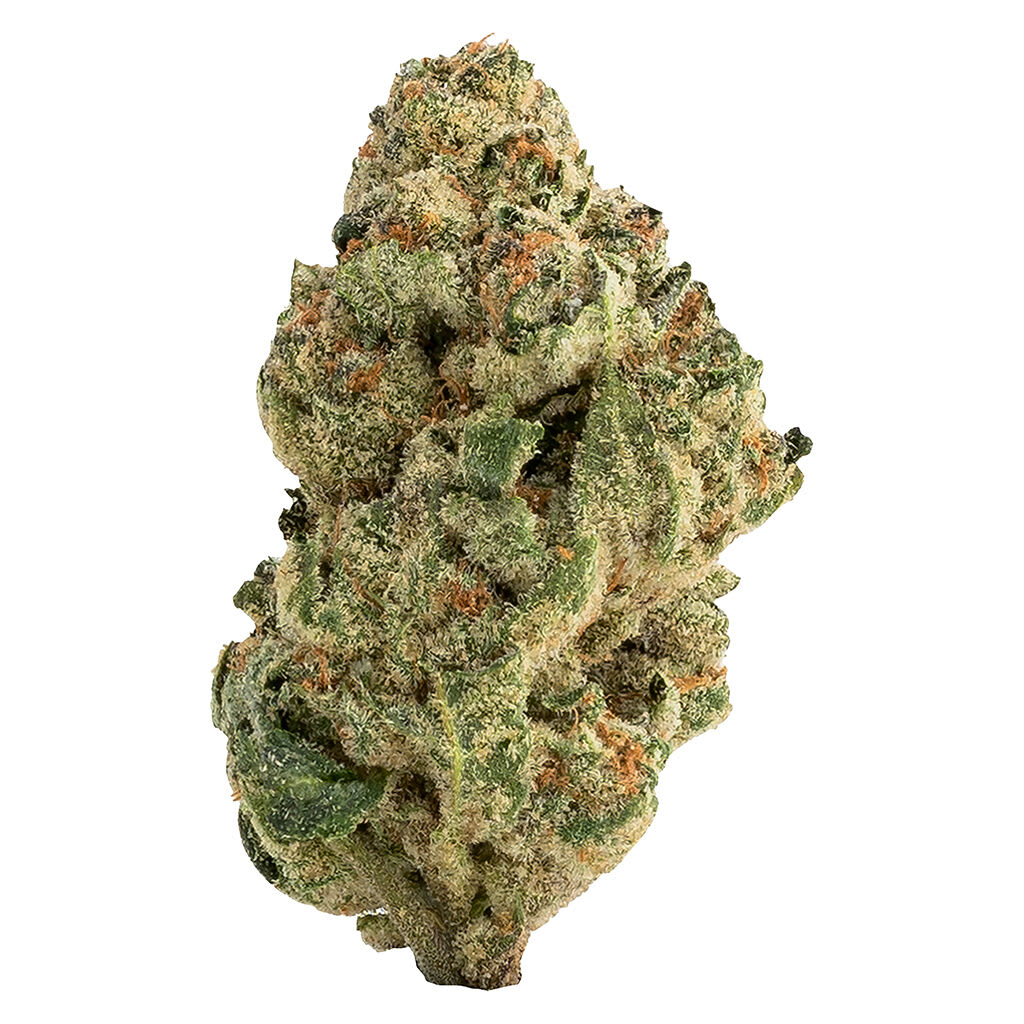 The Loud Plug - Venom OG - 28g