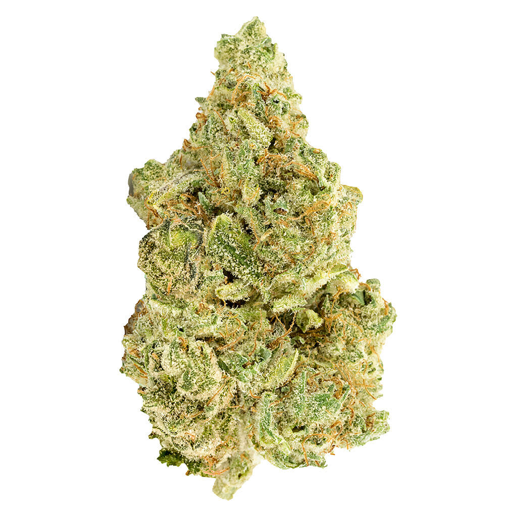 Versus - White Widow - 28g