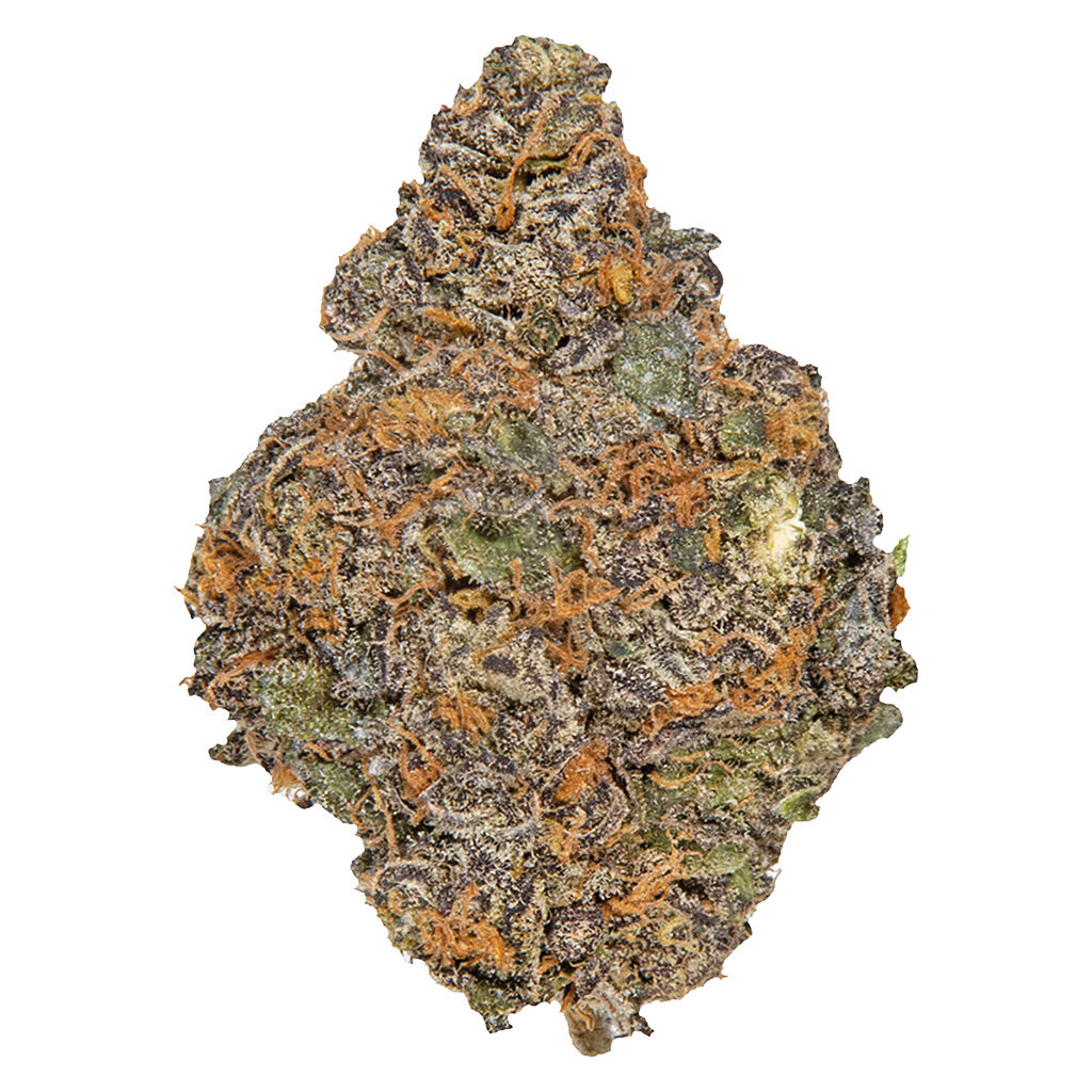 Potluck - Beaver Tail - 7g