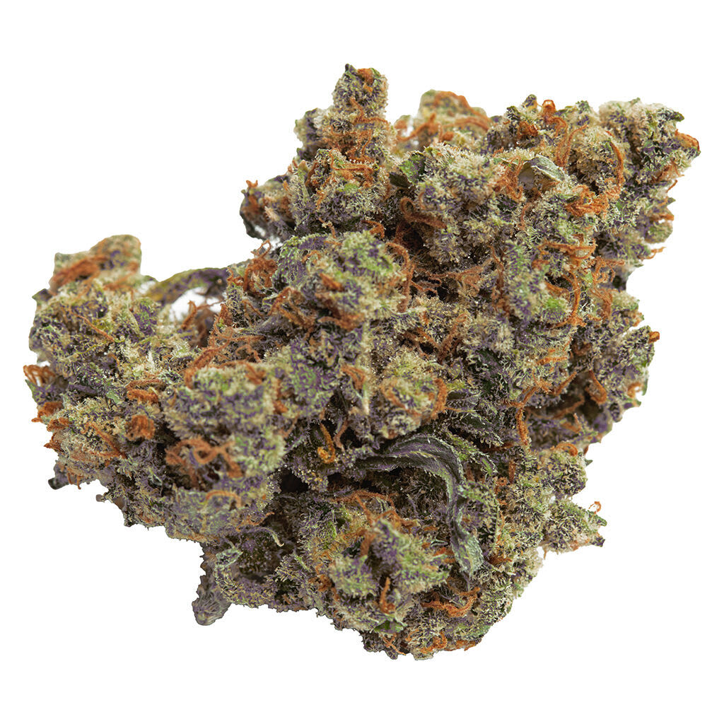 Qwest - Lazer Jet 7g