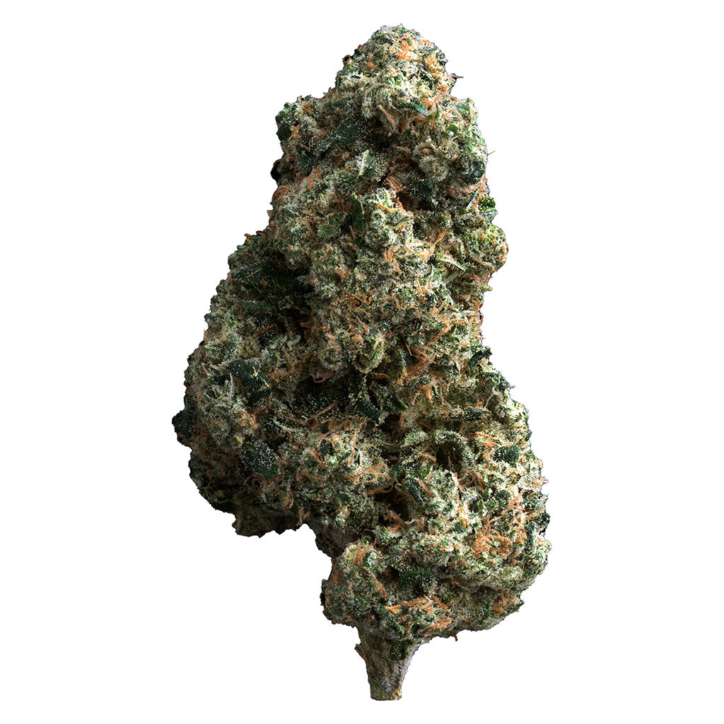 The Loud Plug - Cherry Diesel 14g