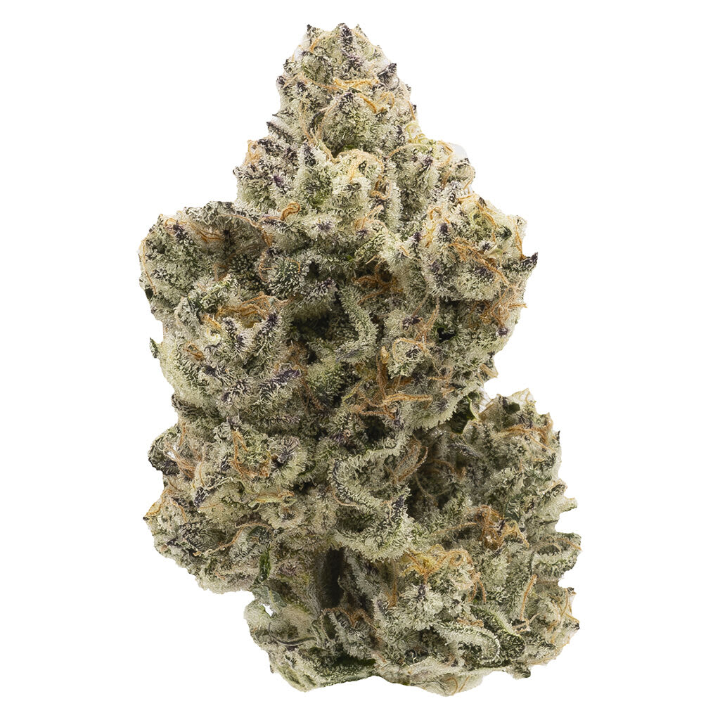 Northern Canna - Pineapple Bang 14g