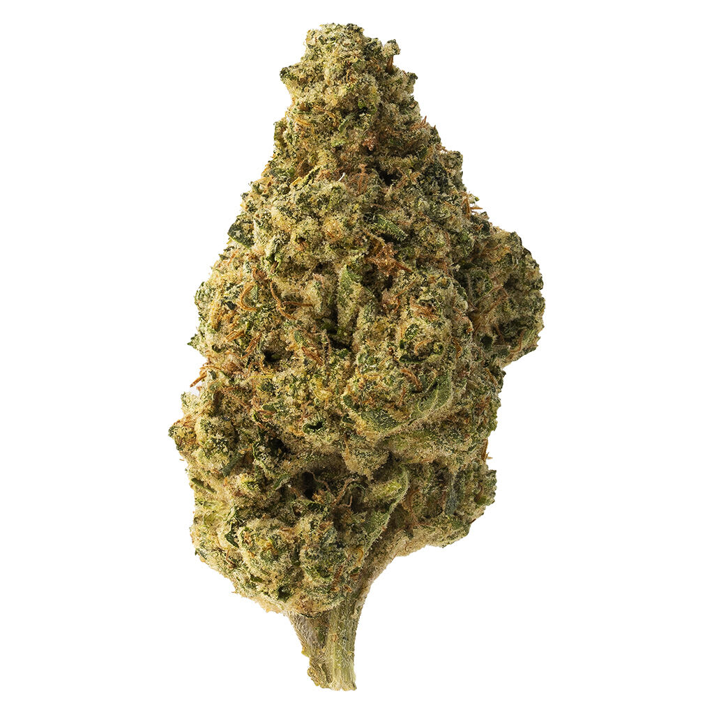 The Loud Plug - Tropicana Cookies - 28g