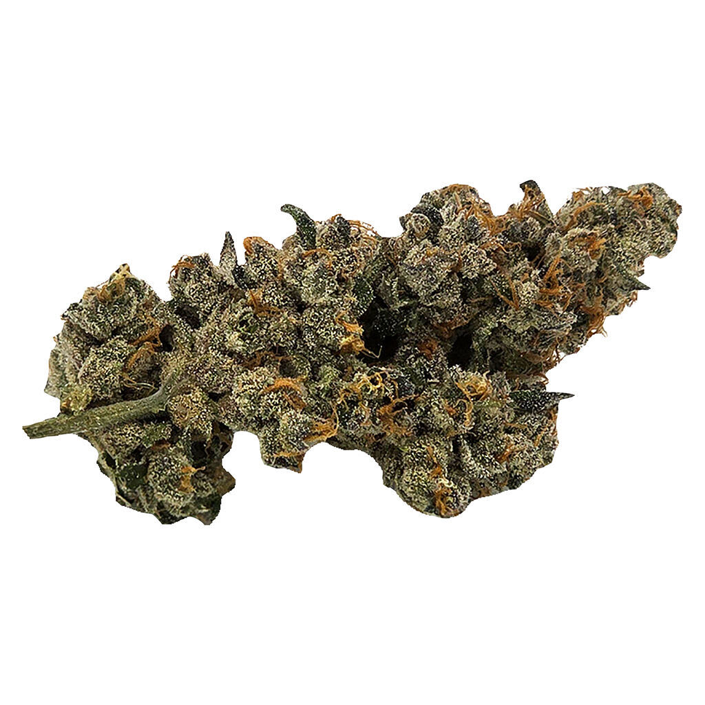 Truro - Bluenose Berry 7g