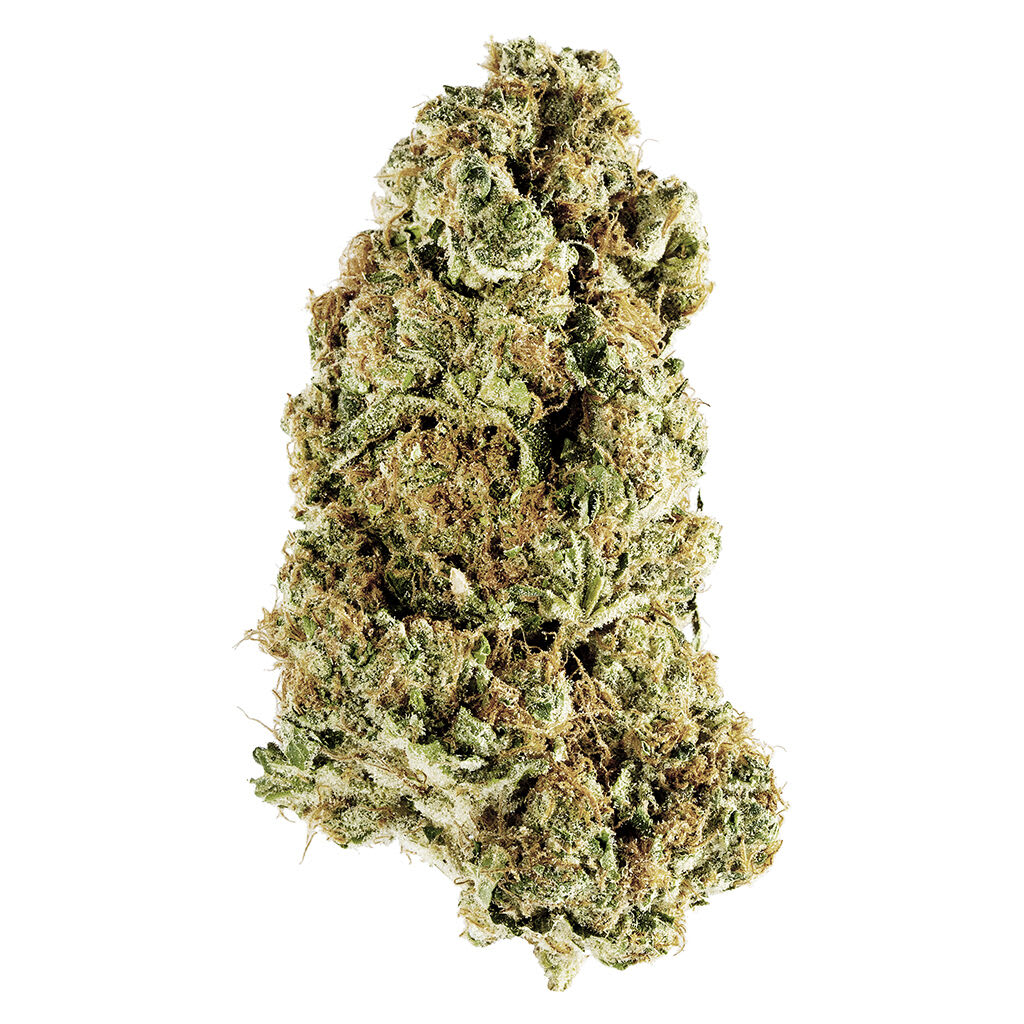 Redecan - Animal Rntz - 14g
