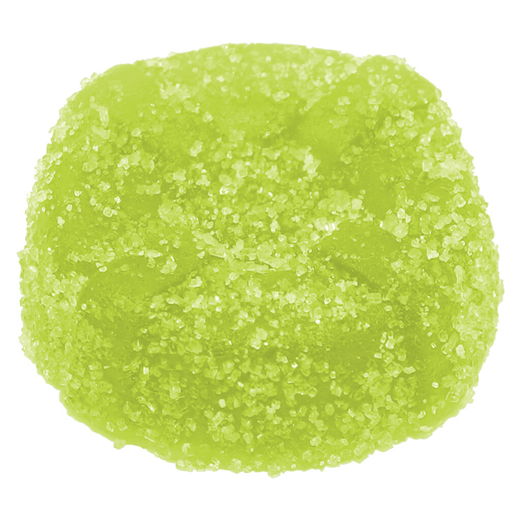 No Future - Key Lime Cherry Revolt - Stupidly Sour THC Gummy - 1 Pack