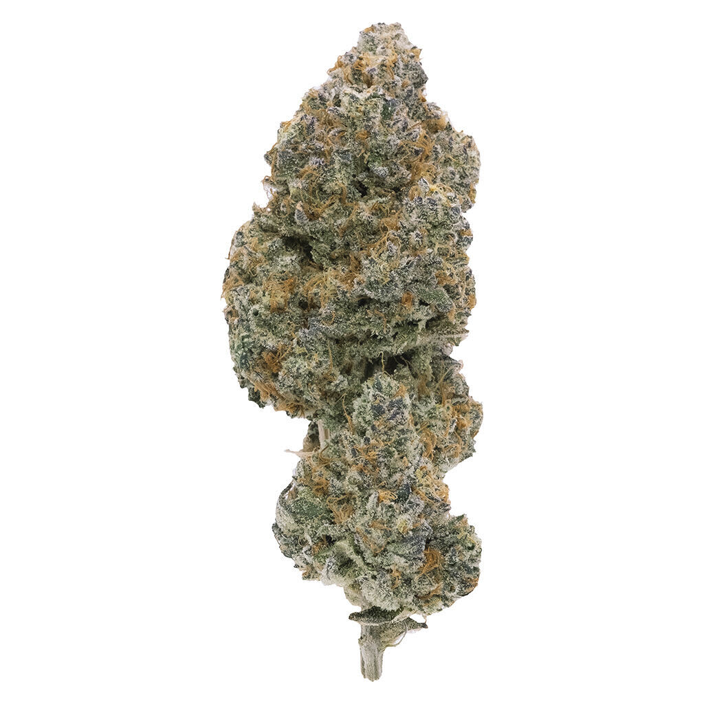 Northern Canna - Modified Supersonic - 7g