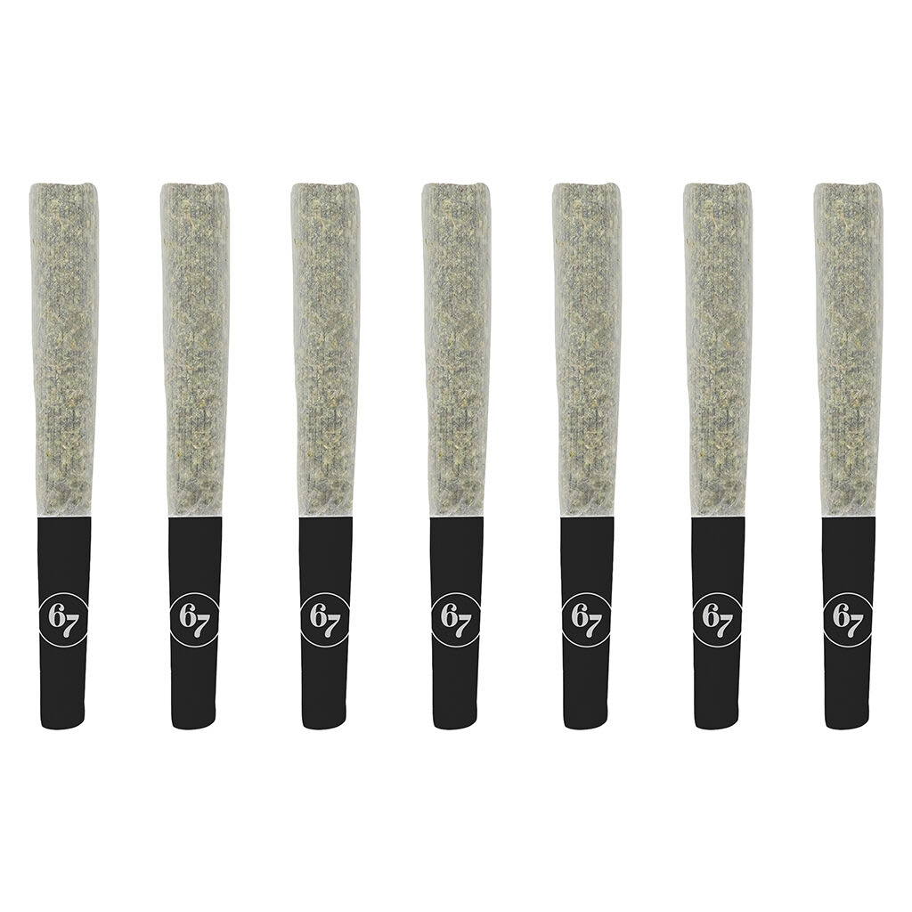 Sixty Seven Sins - Gas Face Pre-Roll - 7x0.5g