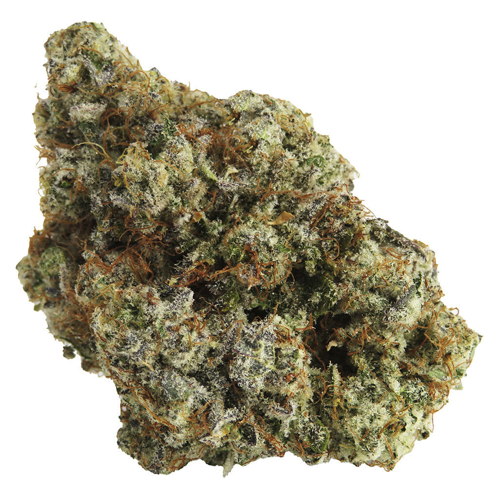 Northern Canna - Permanent Marker - 14g