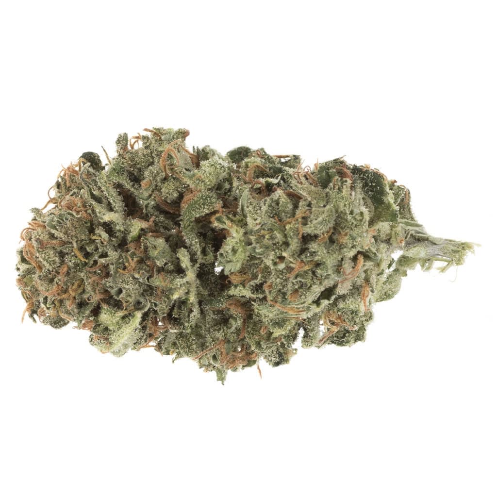 Station House - Blue Dream - 14g