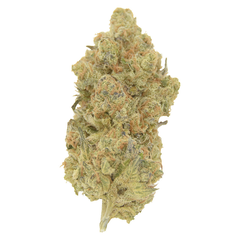 Rocket Factory - Gastro Pop - 7g