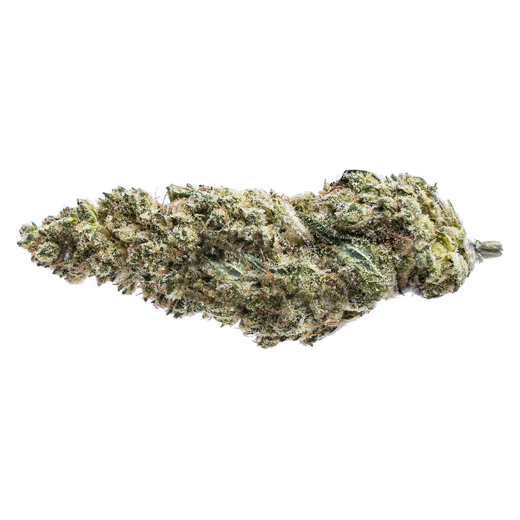 Pure Sunfarms - Blue Dream #16 - 3.5g