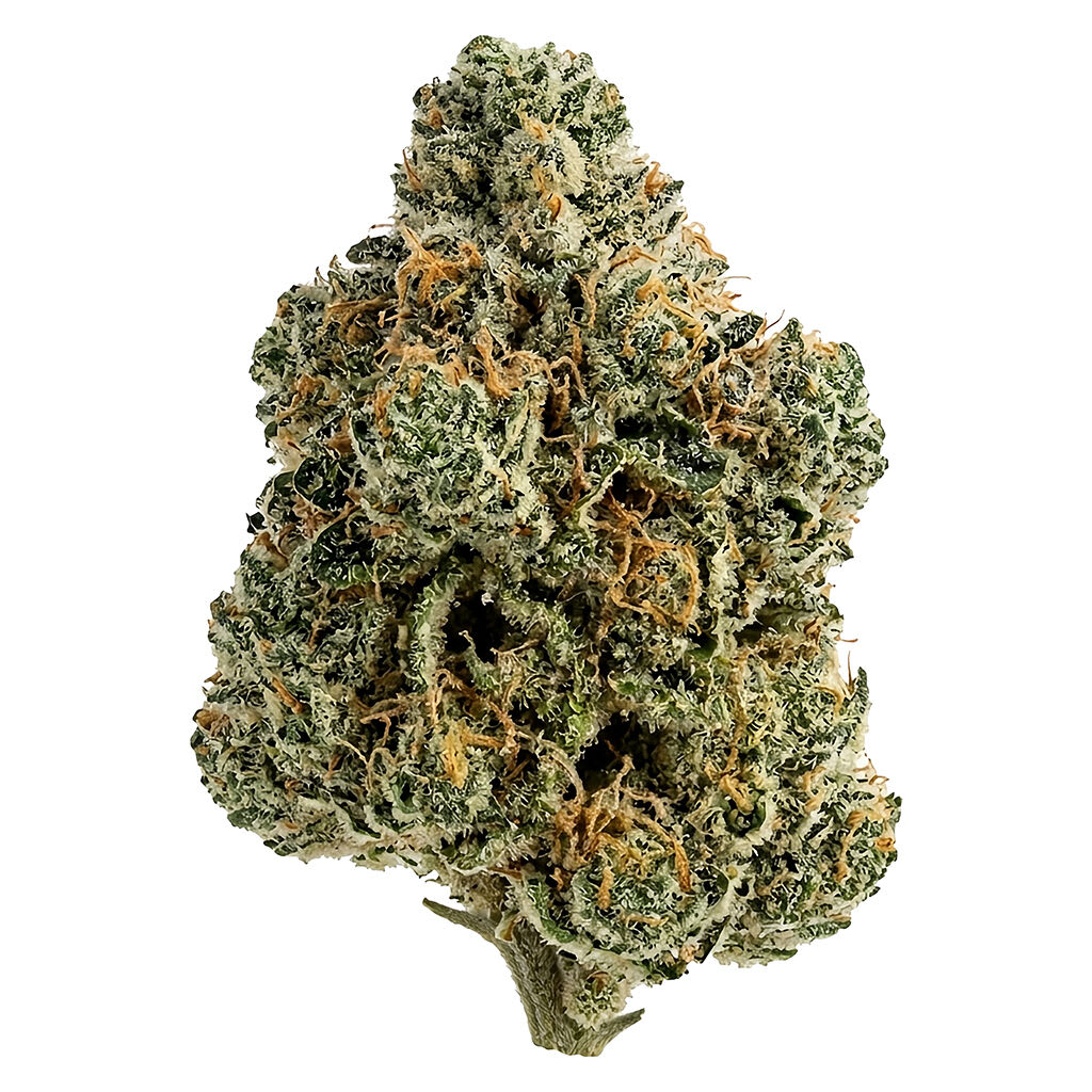 Tiki Madman - Breeders Stash 7g Dried Flower