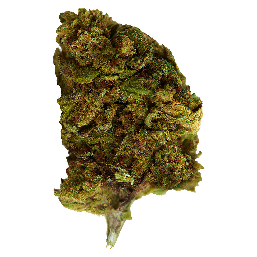 Versus - Bubba Kush - 28g
