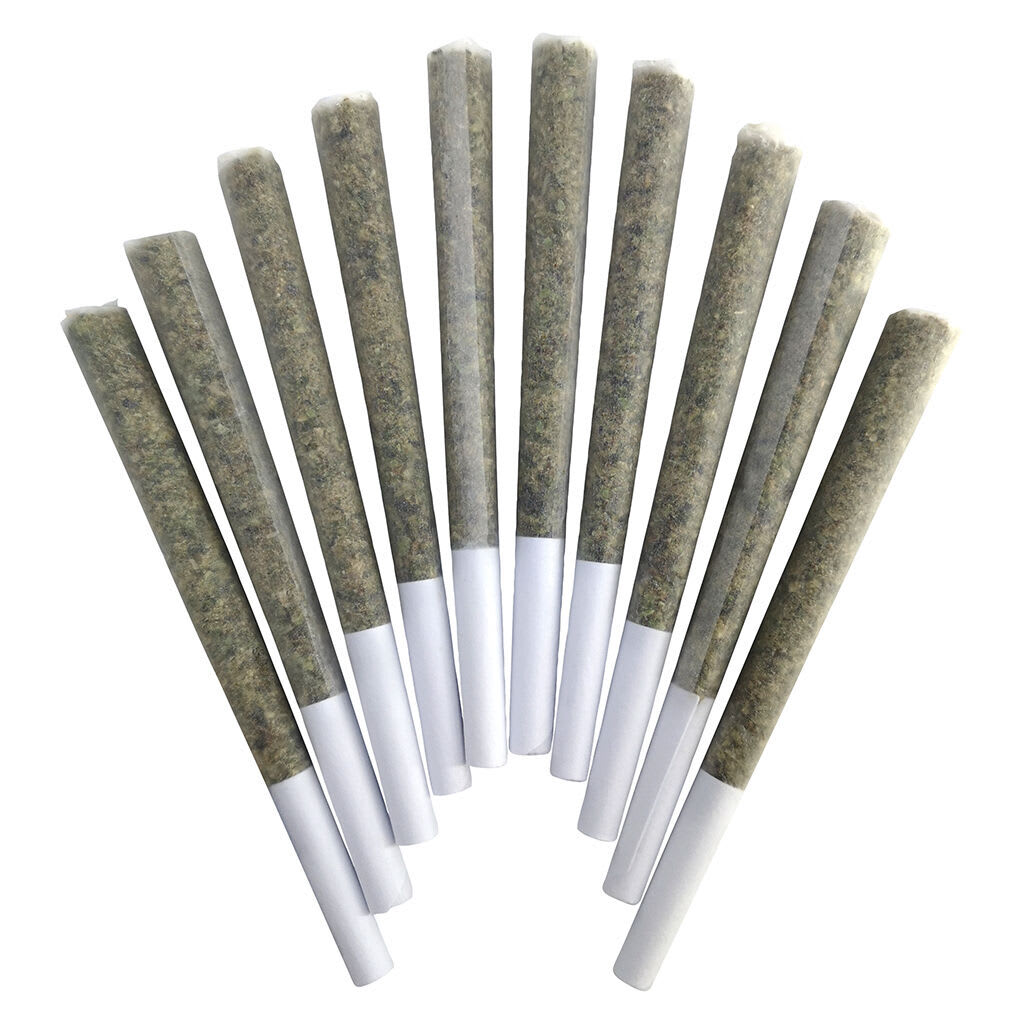 BC Doobies - Blue Maui Pre-Roll 10x0.5g