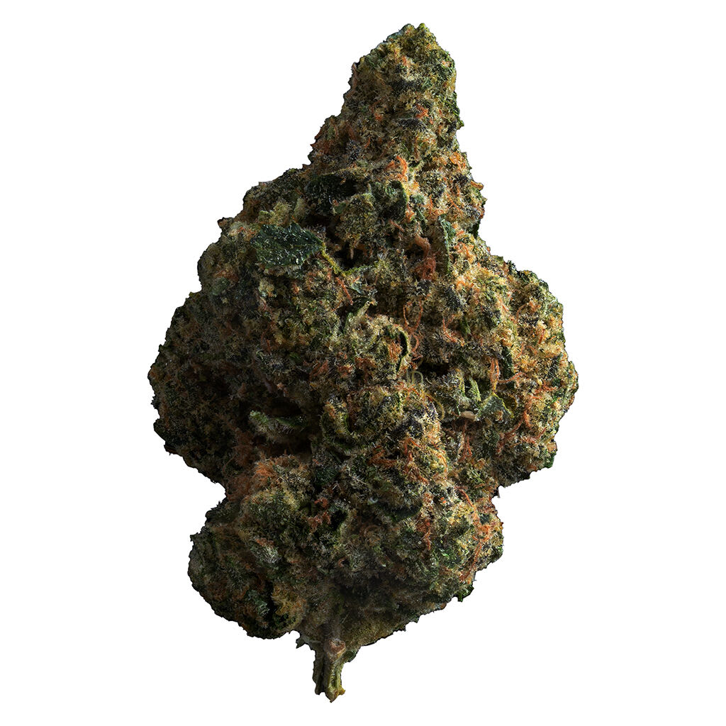 The Loud Plug - Tropicana Cookies 14g