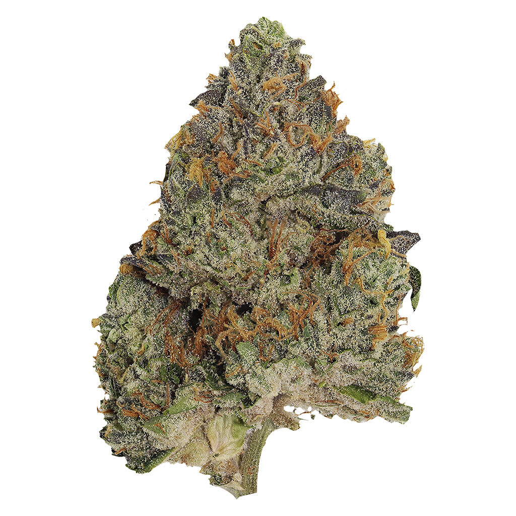 Pistol and Paris - Blue Zushi 3.5g Dried Flower
