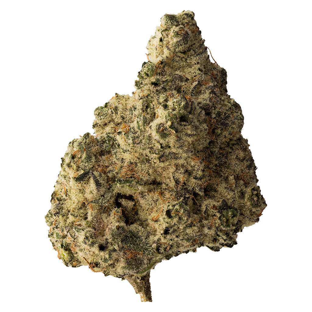 The Loud Plug - Lemon Gelato 28g