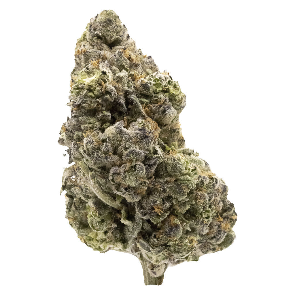 FIGR - Midnight Sherb - 14g