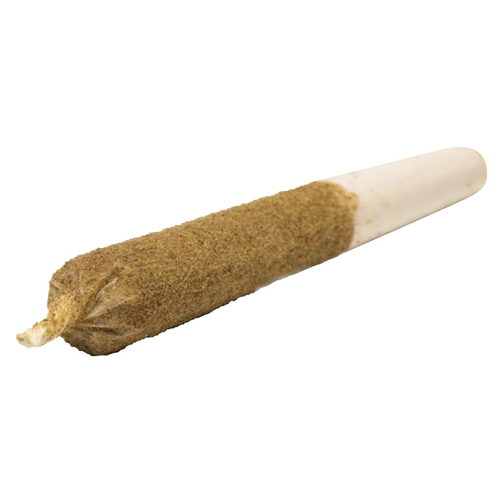 General Admission - Watermelon Splash Distillate Infused Pre-Roll - 1x1g