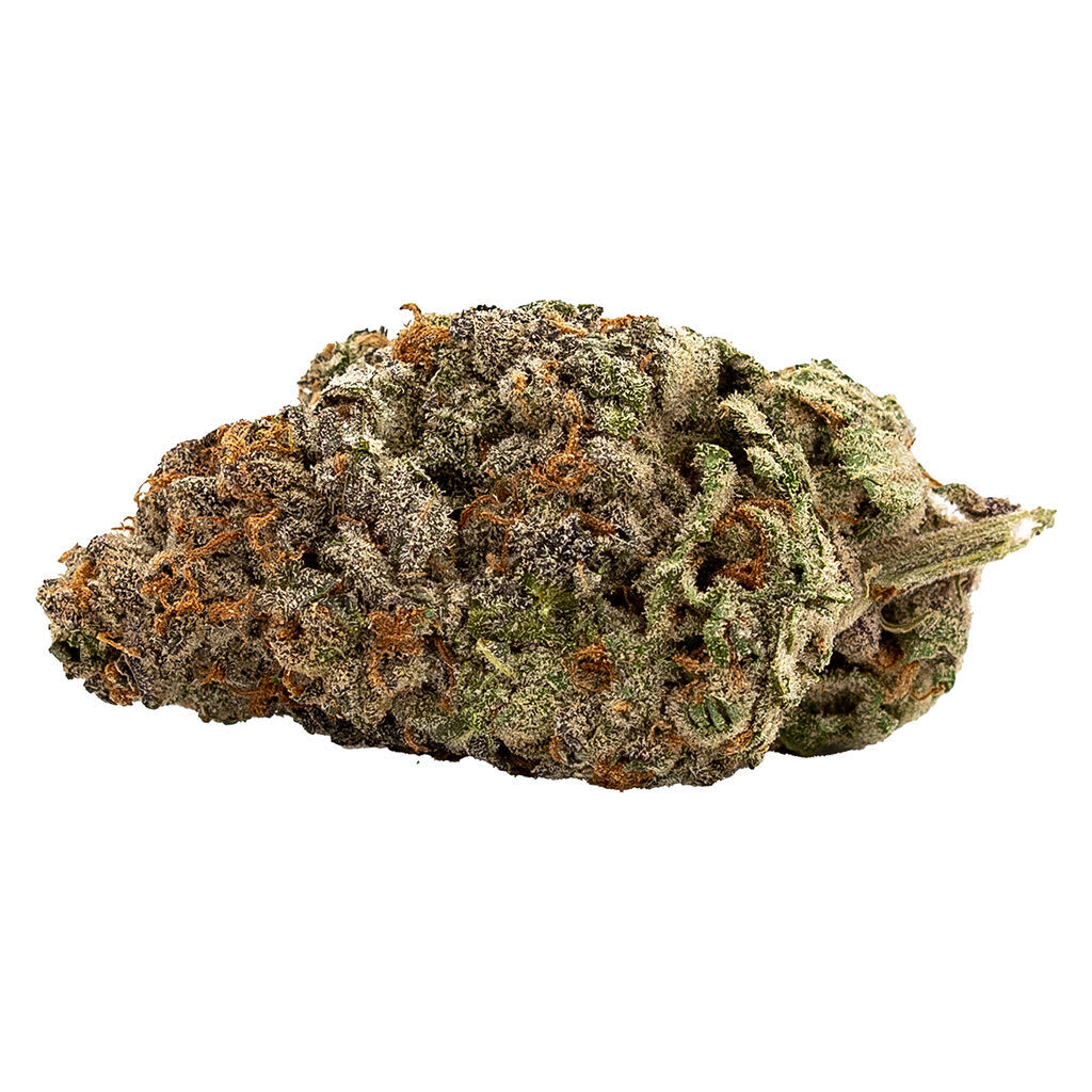 Qwest - White Walker 7g