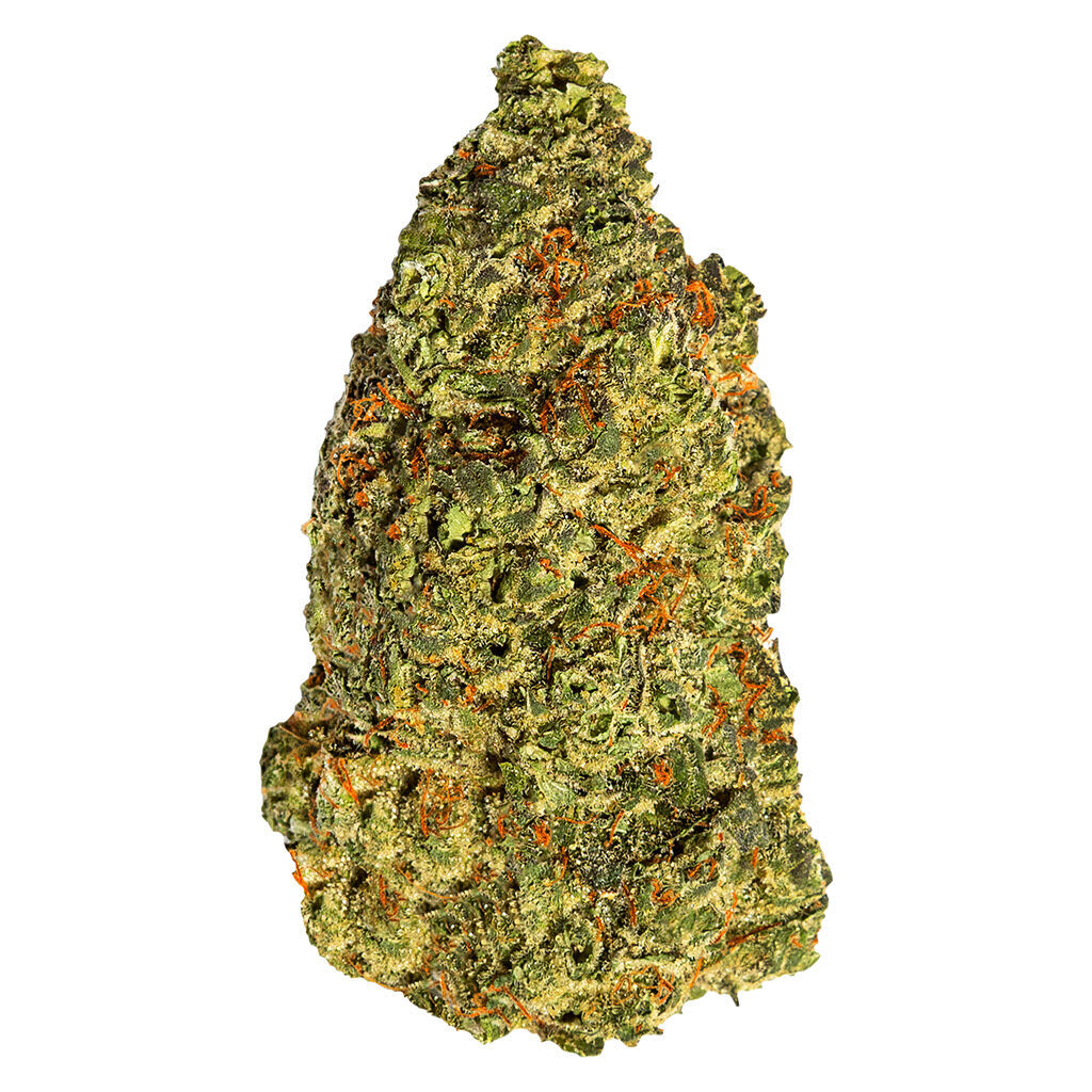 South Point - Turbo Diesel 14g