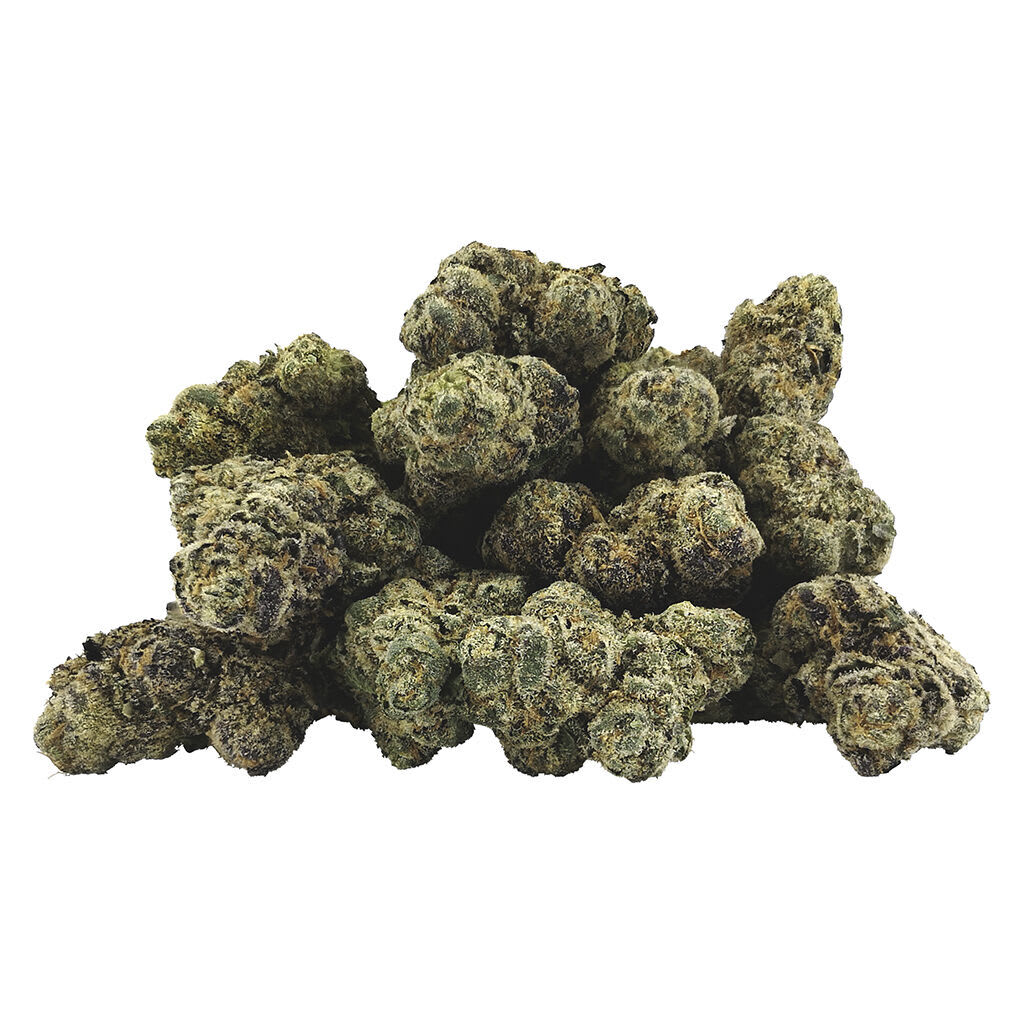BC OZ - Ben and Gary's 14g Dried Flower