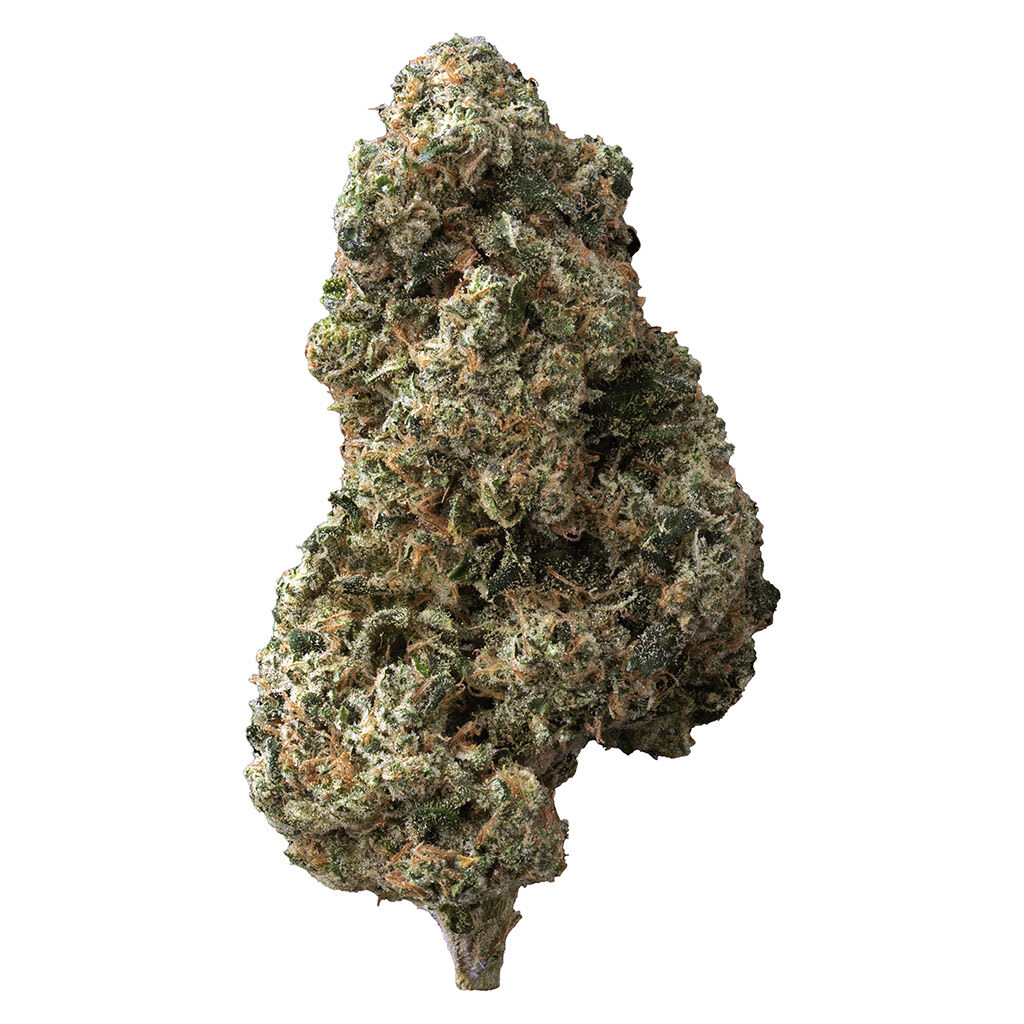 The Loud Plug - Sticky Bunz - 28g