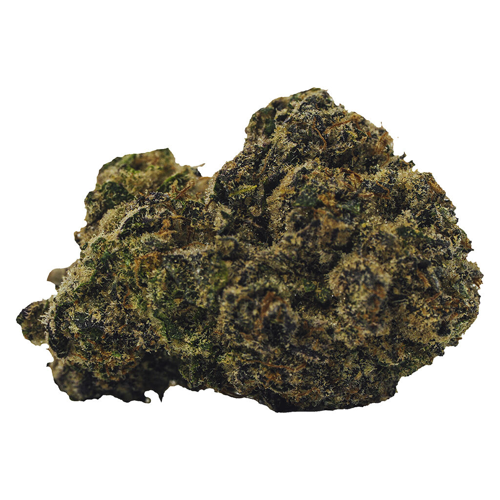 Bold - Rocket Fuel 14g