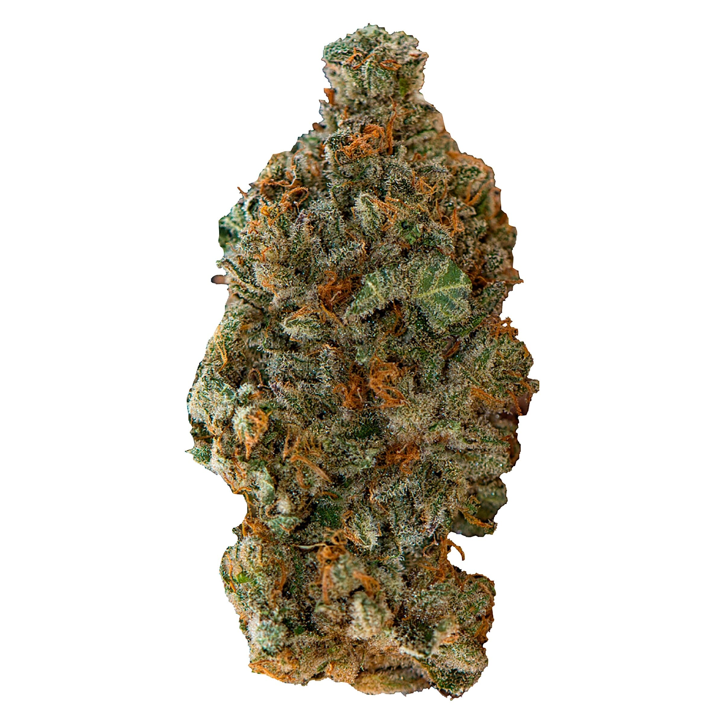 Versus - Girl Scout Cookies - 28g