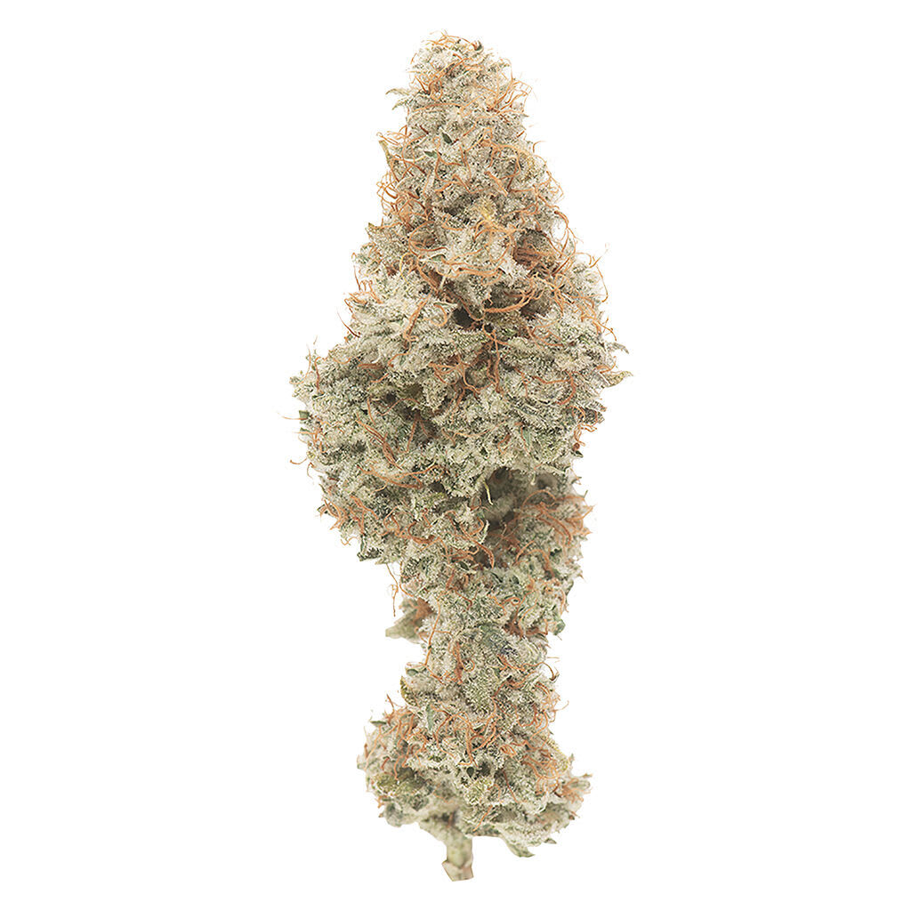 GOOD BUDS - Mango Cake Dry Flower 3.5g