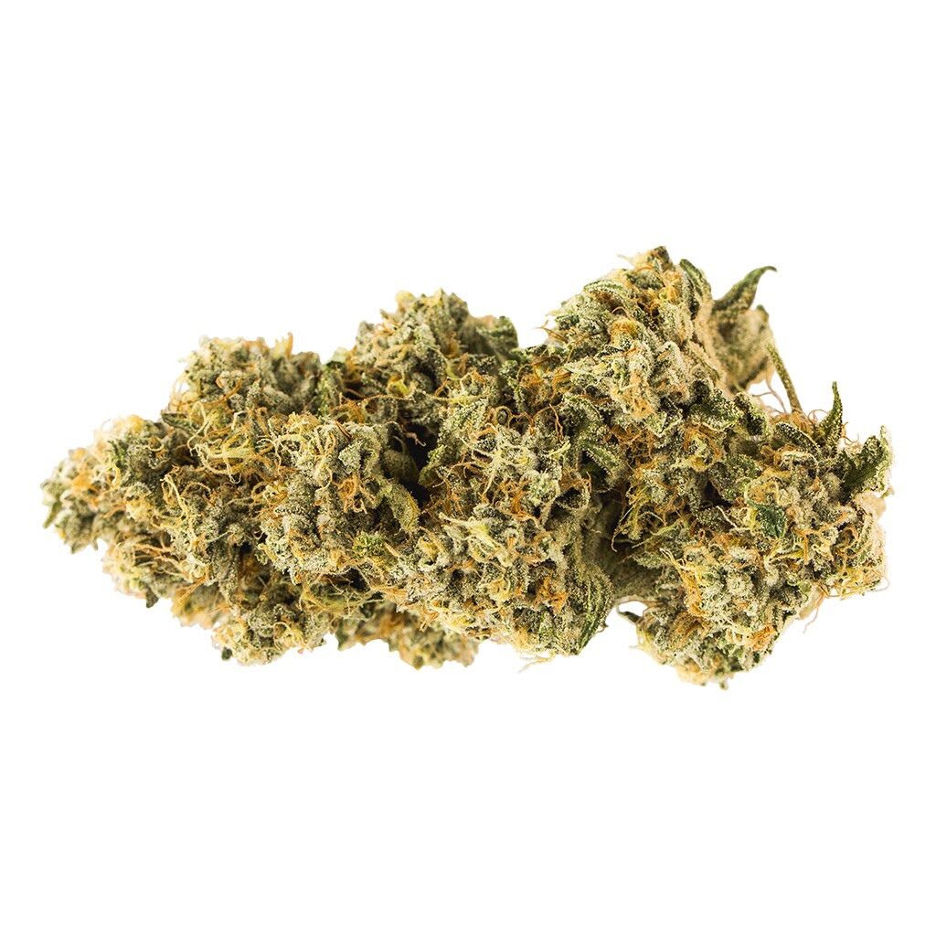 Carmel - Animal Face 7g
