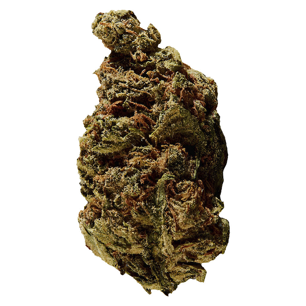 Versus - BC God Bud - 3.5g