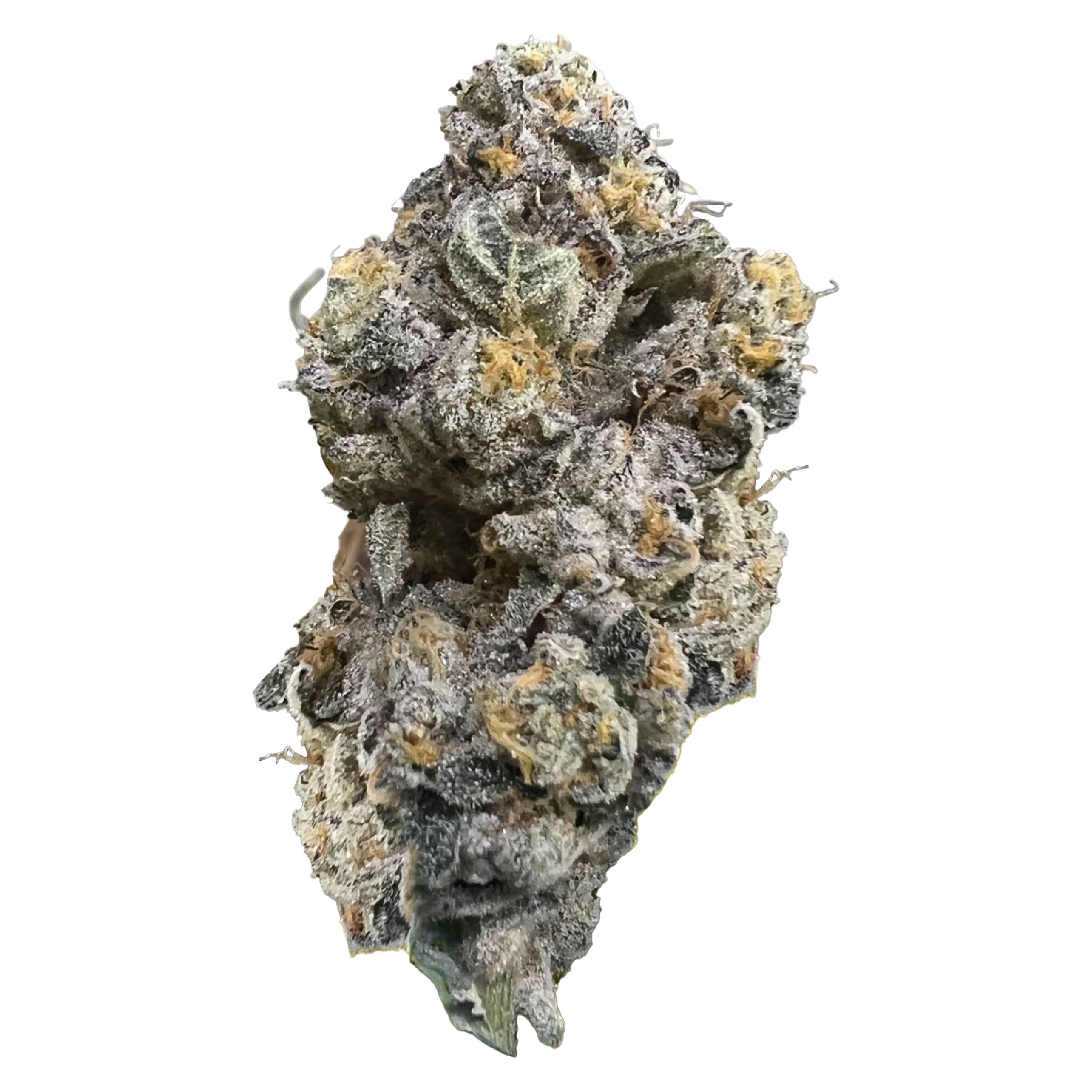HighXotic - Royal Dive#3: Hindu Glue 14g