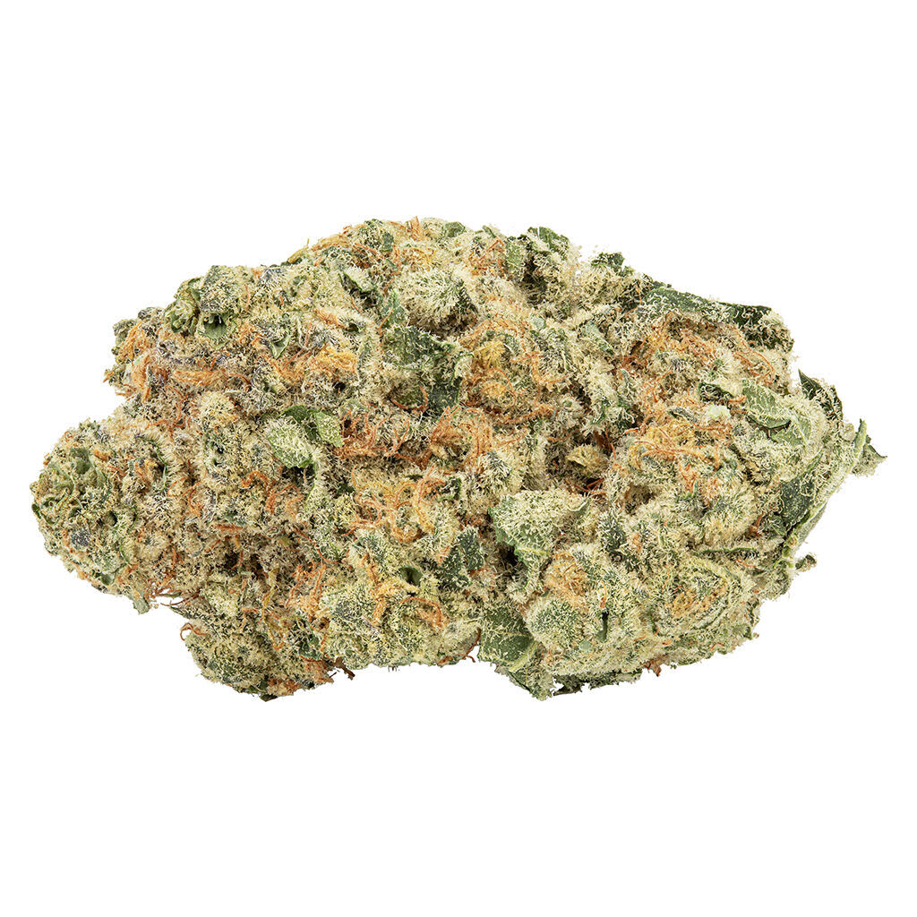 Big Bag O' Buds - Tropicanna Tangie 7g
