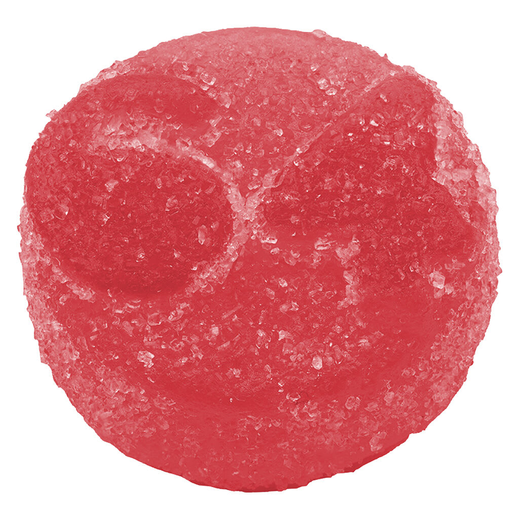 1964 - JNGL JCE Live Rosin Gummies 10x1 Pack