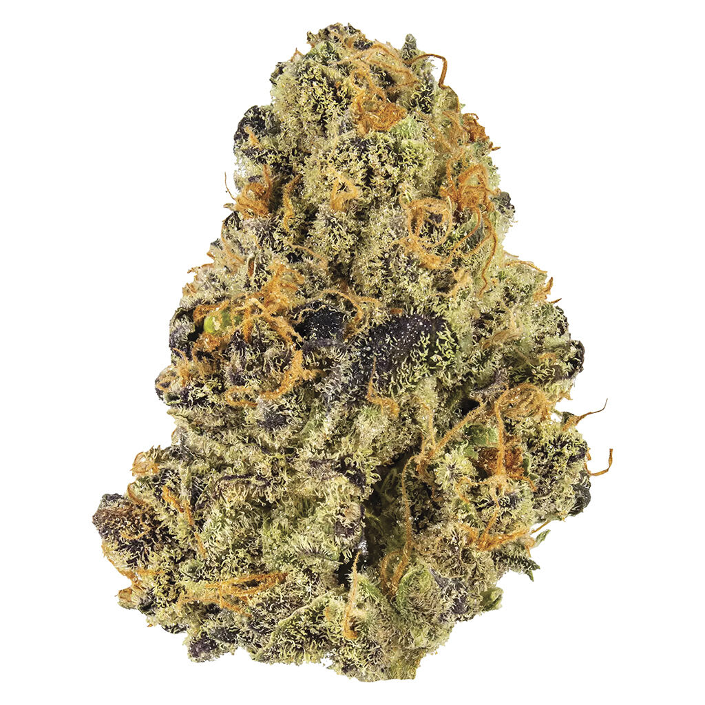 Potluck - Blueberry Tart 7g