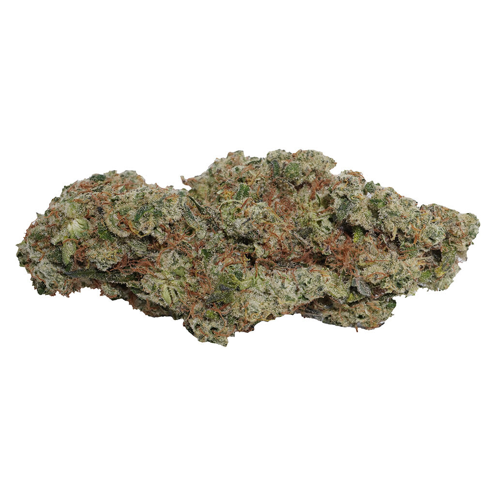 Always Toasted - OG Dutch Dragon 7g