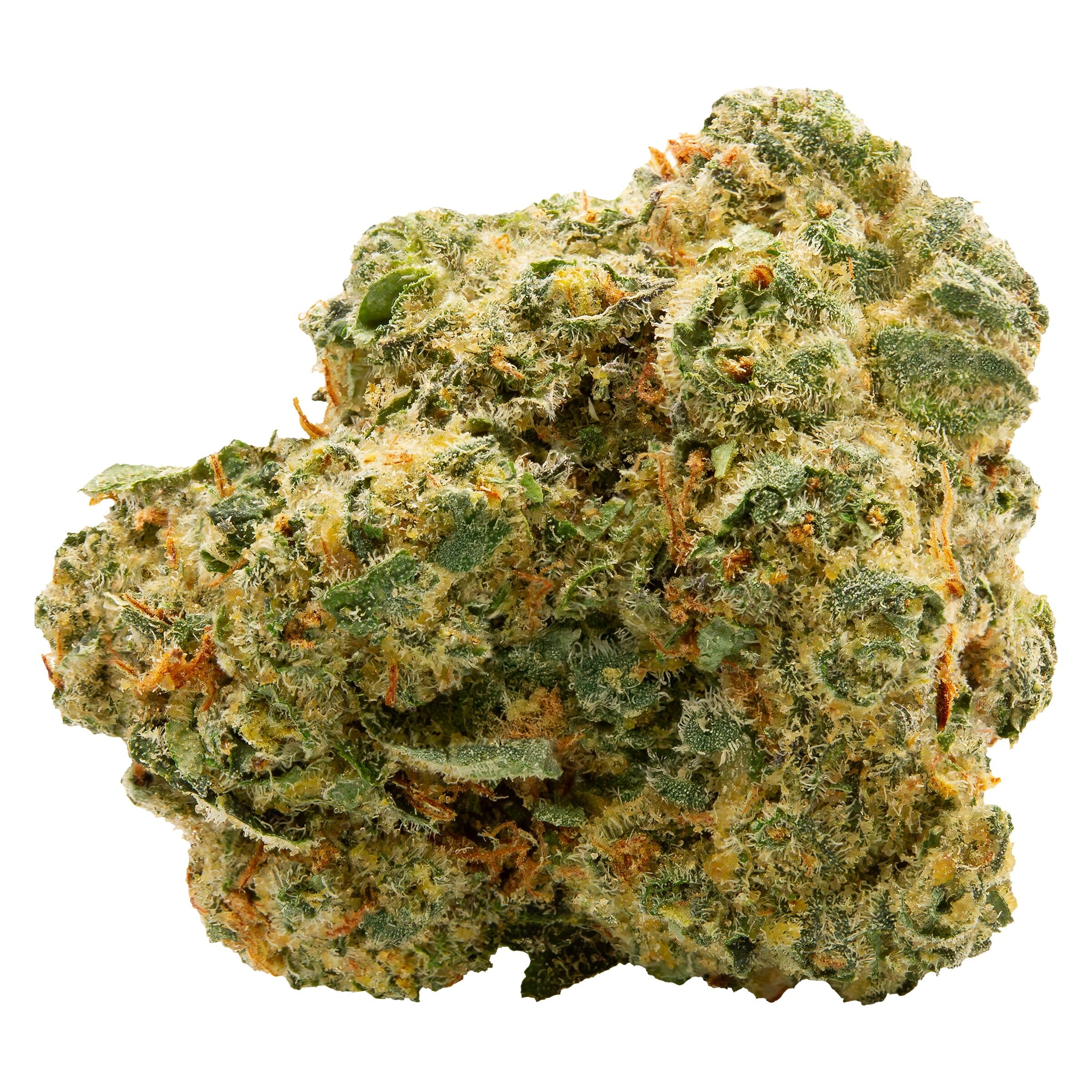 Spinach - Blue Thai 7g Dried Flower