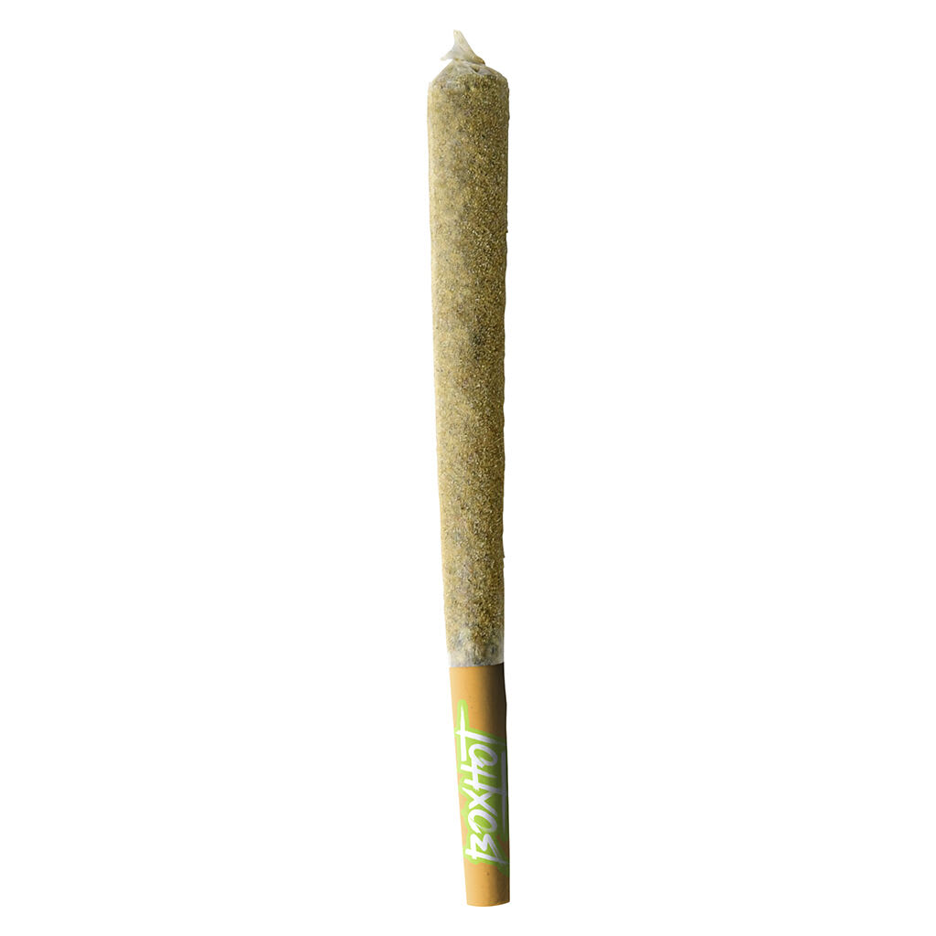 BOXHOT - Dusties XL Retro Orange Blast Kief-Coated Infused Pre-Roll - 1x1.2g