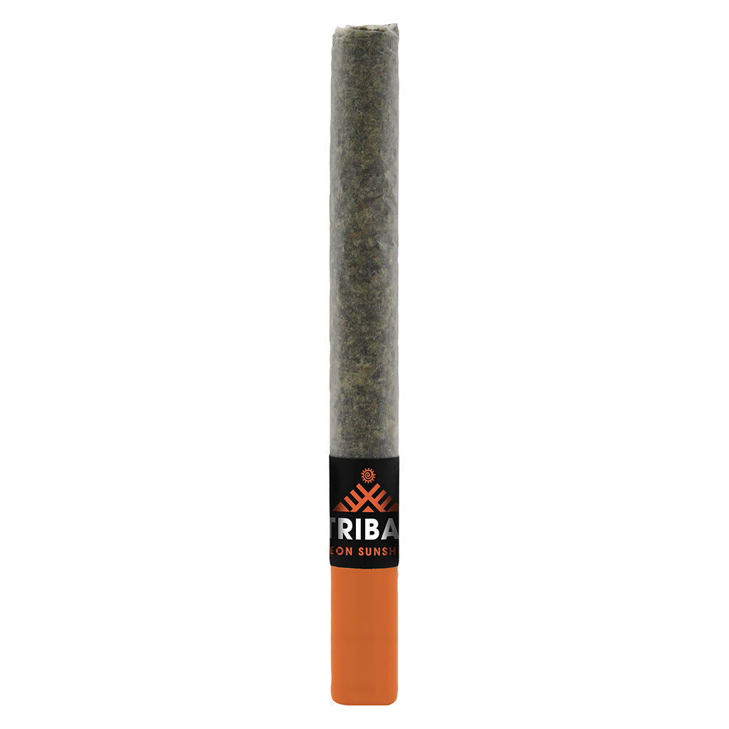 Tribal - Neon Sunshine Ceramic Tip Pre-Roll 1x1g