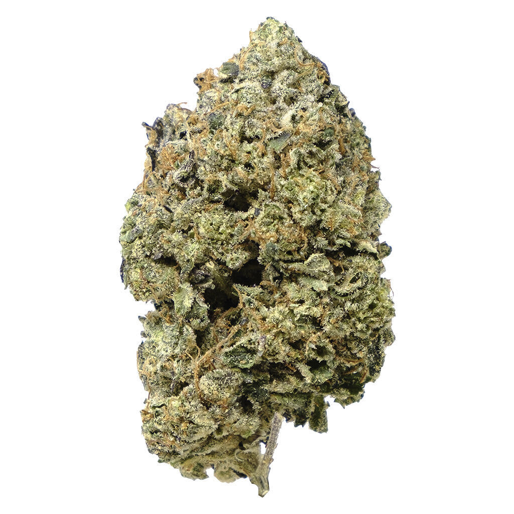 Pistol and Paris - Pink Goo 14g Dried Flower