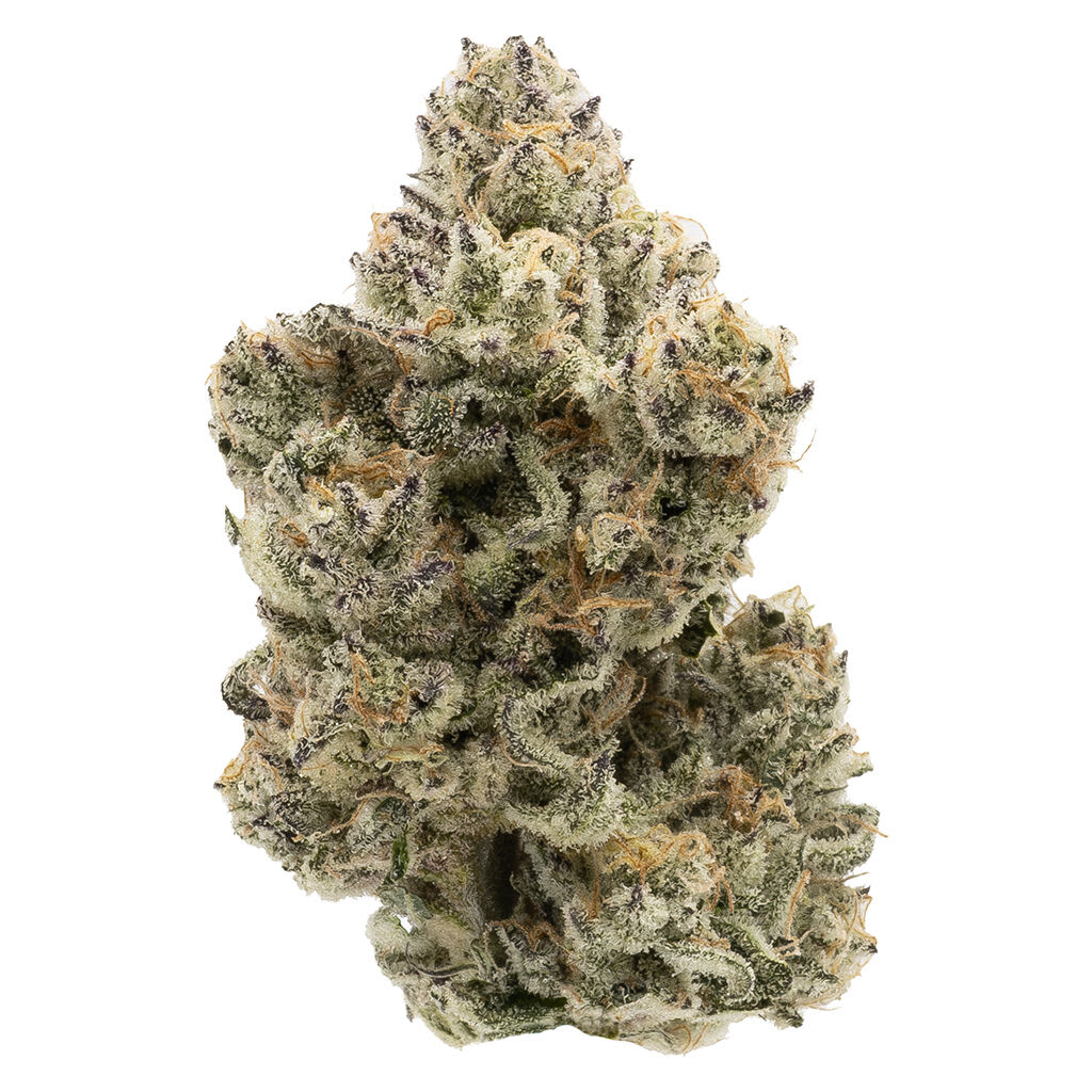 Northern Canna - The Collective Half Q 3.5g