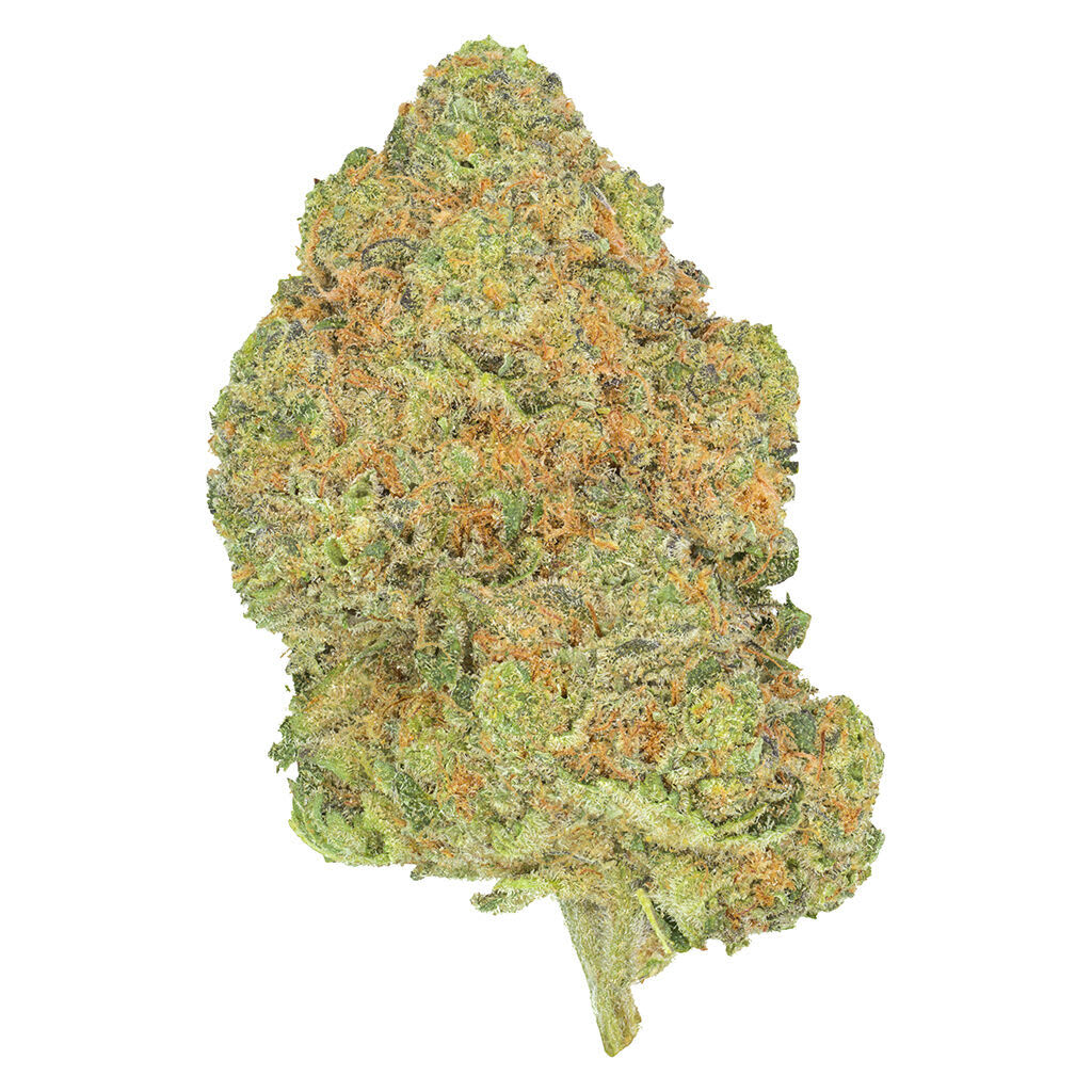 San Raf - Black Jelly - 7g