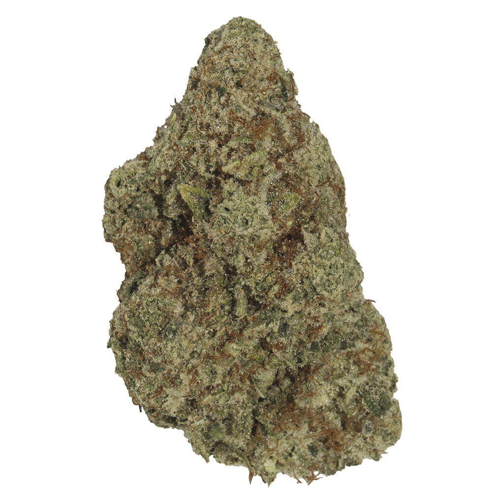 Carmel - Big Apple 7g