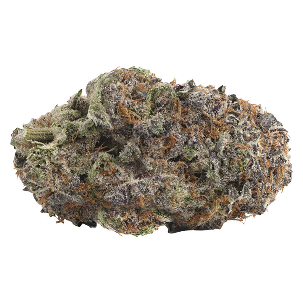 WINK - Purple Push Pop - 7g