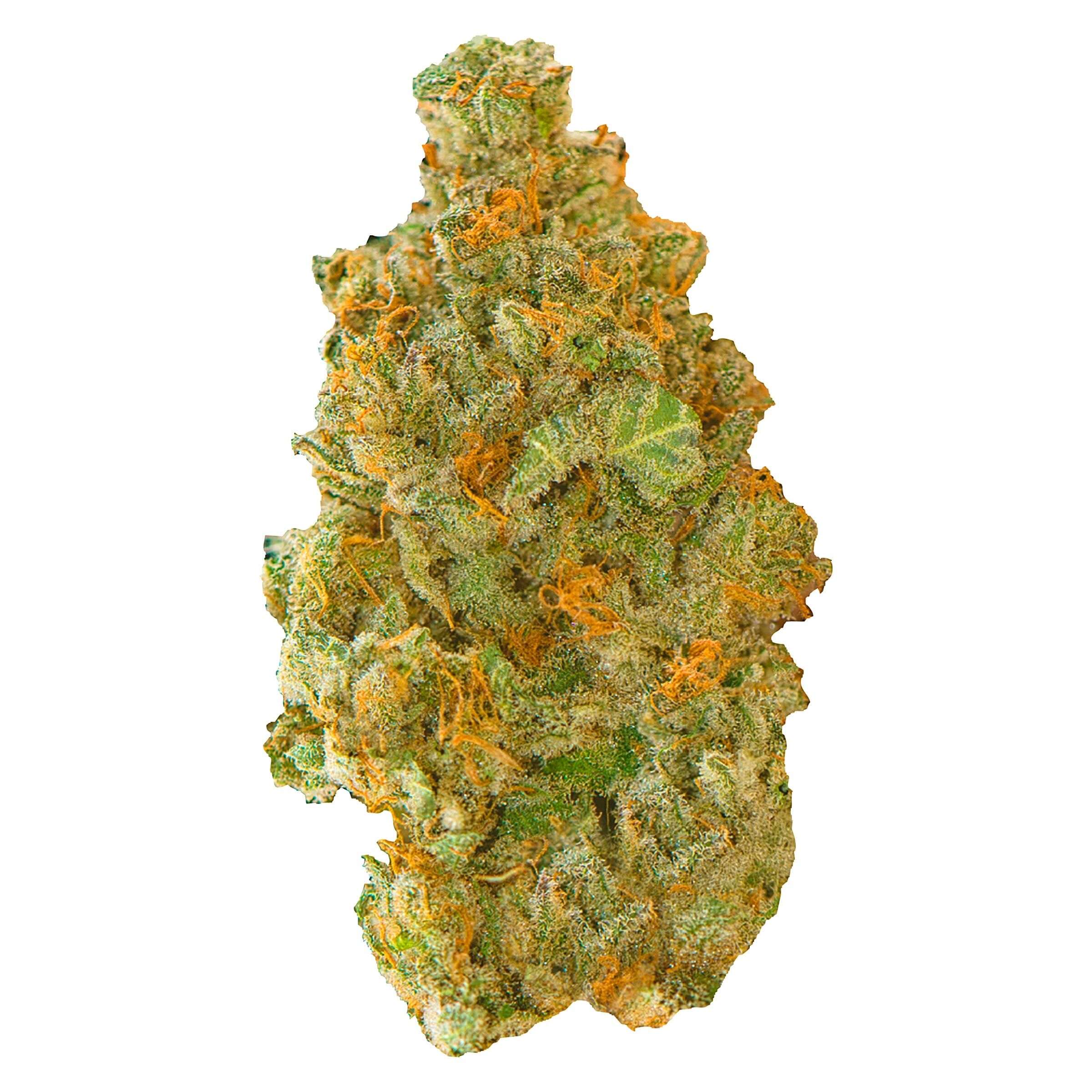 Contraband - Golden Tangie - 28g