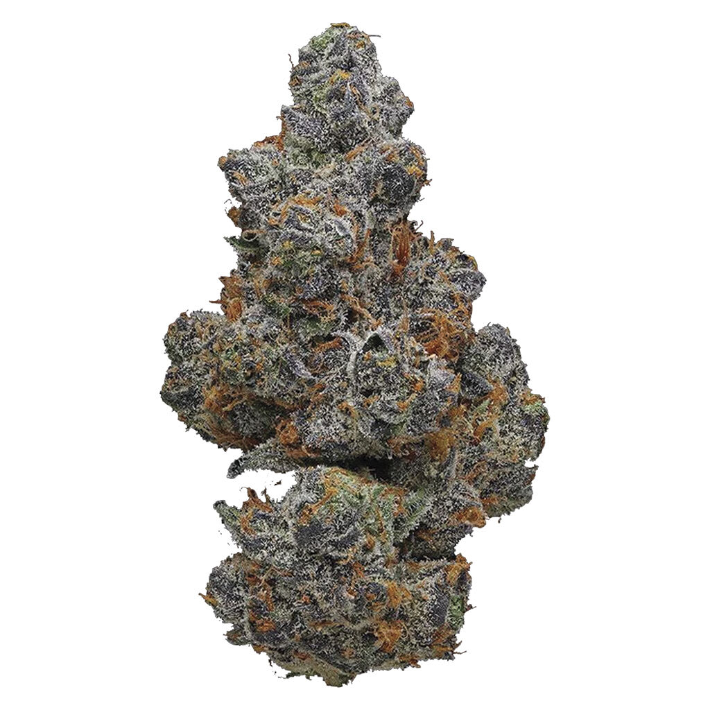 Potluck - Apple Fritter - 7g