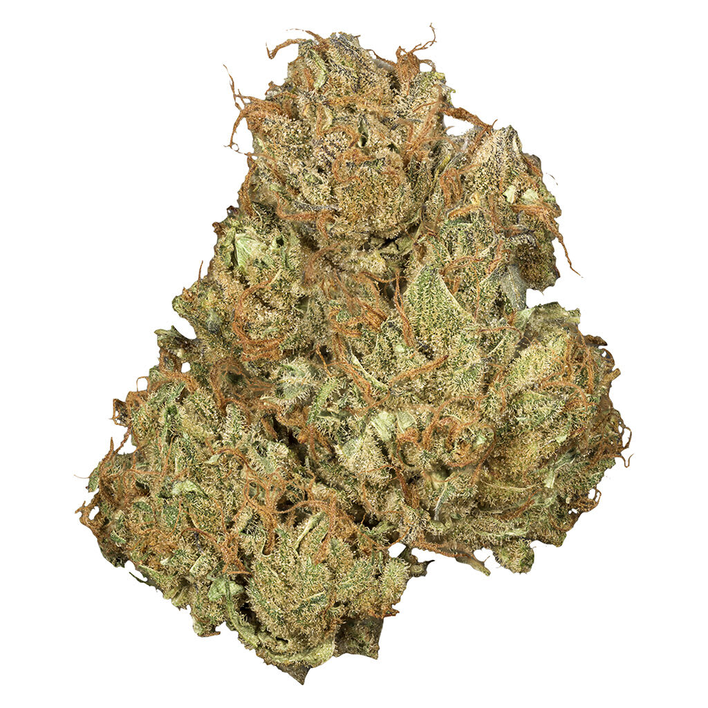 Orchid CBD - Jean Guy CBD 3.5g